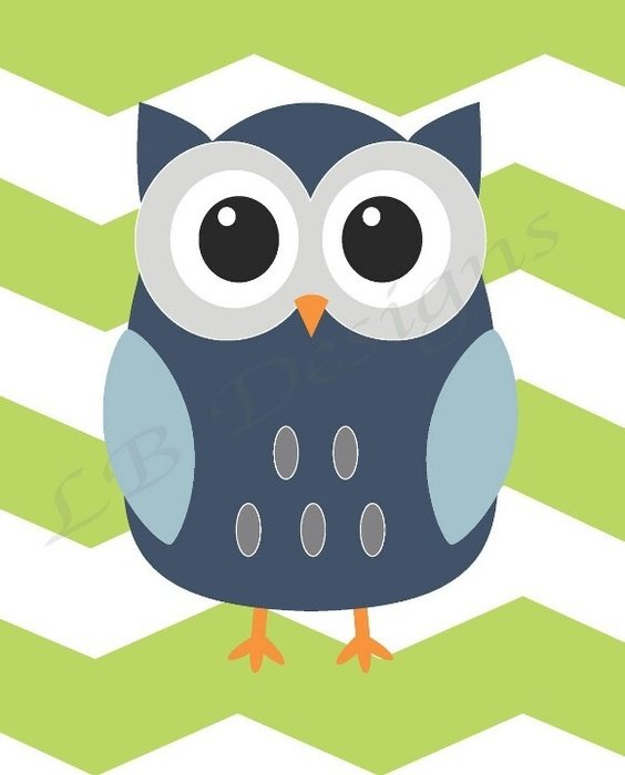 Cute Owls N2