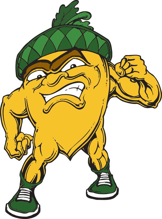 cartoon muscular acorn