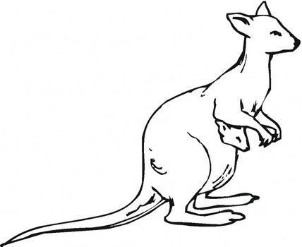 Kangaroo Coloring Pages