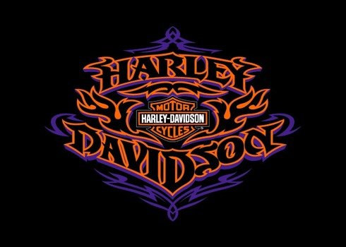 Harley Davidson Logo N5