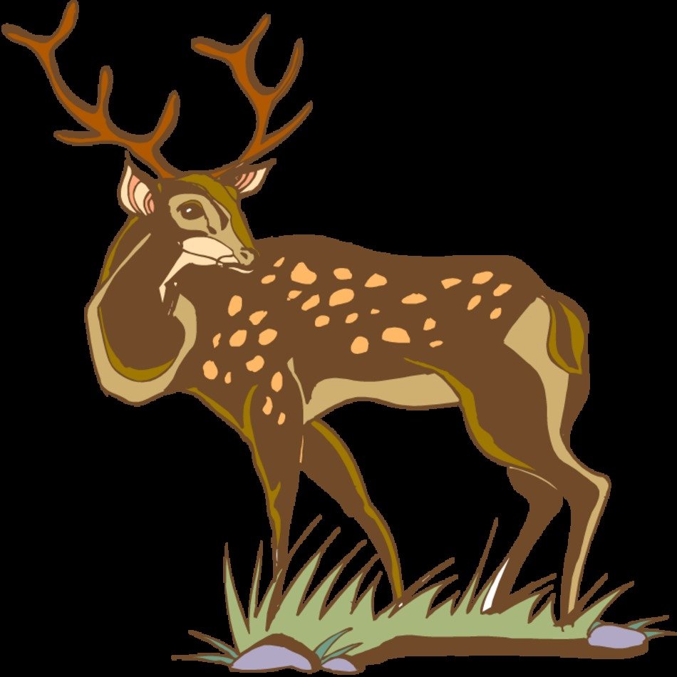 Deer Clip Art N30
