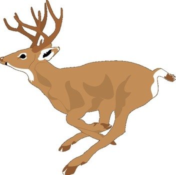 Cartoon Deer Clip Art N12