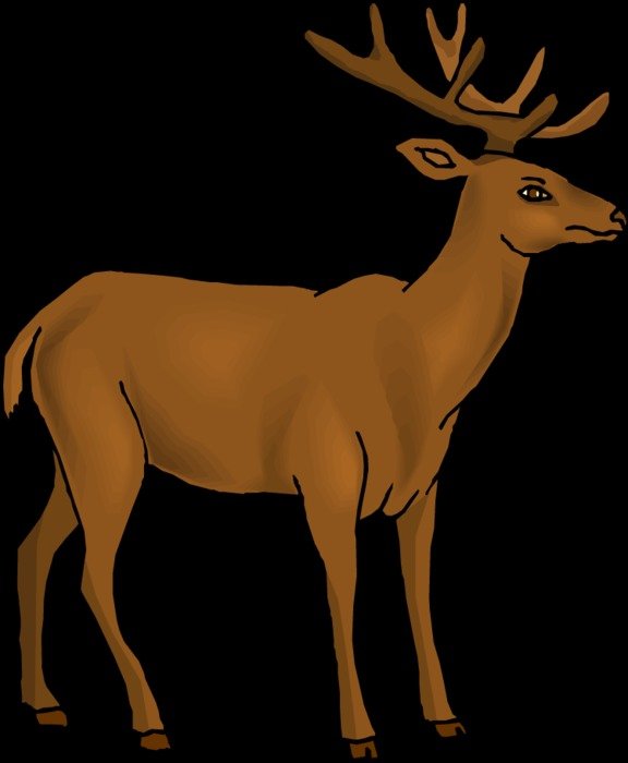 Baby Deer as picture for clipart