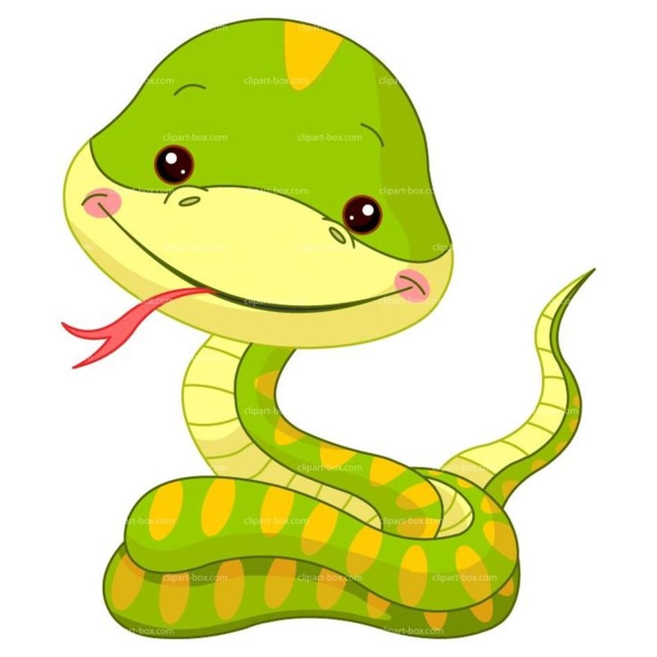 Cute Cartoon Snake N7