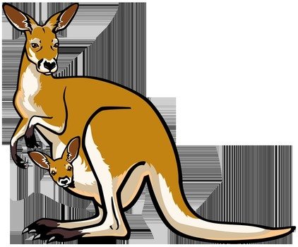 Kangaroo Clip Art N4