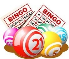 Bingo lottery and balls