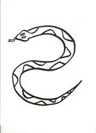 Drawing of the cartoon Snake