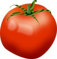 Tomato Clip Art N18