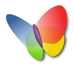 MSN Butterfly Logo
