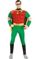 Colorful figure of Robin
