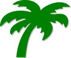 Palm Tree green drawing