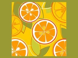 slices of oranges with green leaves on a green background