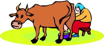 milking a cow as a graphic image