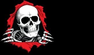 Powell Peralta Logo drawing