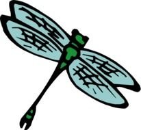 dragonfly, green and black drawing