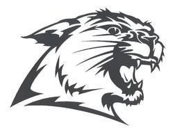 Kentucky Wildcats Logo drawing