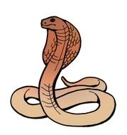 Cobra Clip Art