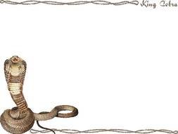 Cobra Clip Art N2