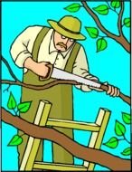 Tree Trimming Clip Art N6