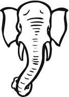 elephant head