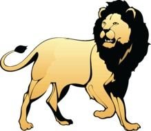 Lion as a illustration