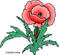 Free Clip Art Roses N3