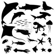 Sea Animal Silhouette
