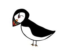 drawn puffin bird on a white background