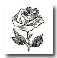 Rose Flower Clip Art N18