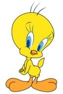 Tweety Bird Cartoon N4