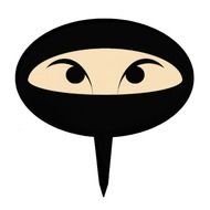 Cartoon Ninja Face