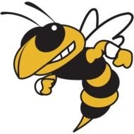 Georgia Tech Yellow Jackets Logo N2