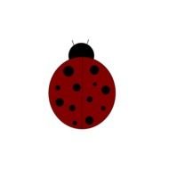 Cute Ladybug red drawing