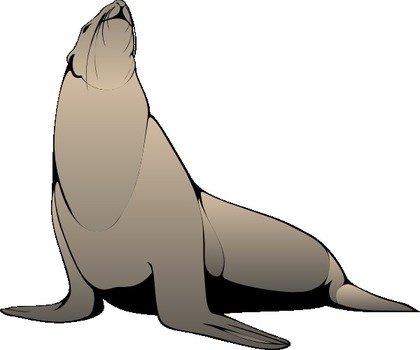 Seal Clip Art Free N2