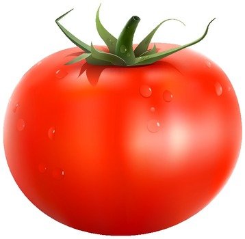 Tomato Clip Art N9