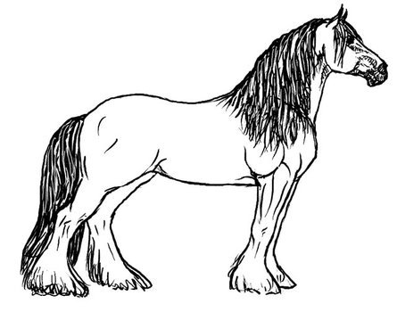 Horse Coloring Pages N3