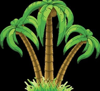 Palm Tree Clip Art N77