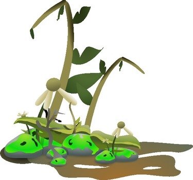 Dont Care Clip Art N2