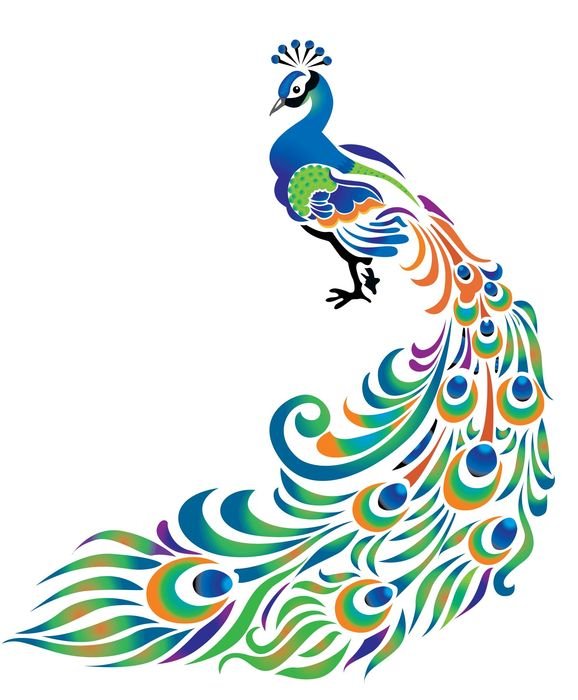 colorful peacock tattoo