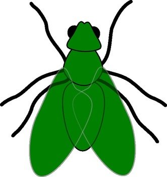 Cartoon Fly Clip Art N3