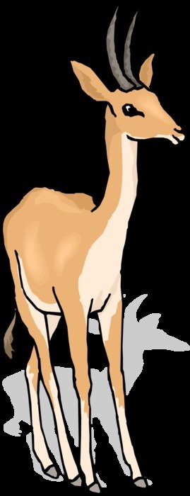 clipart deer on black background