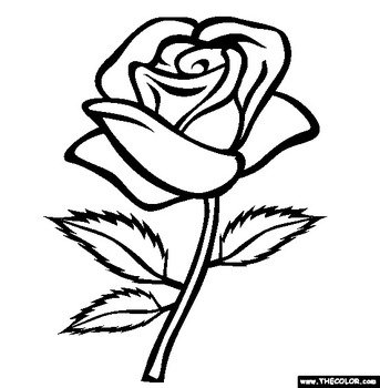 Rose Coloring Pages N2