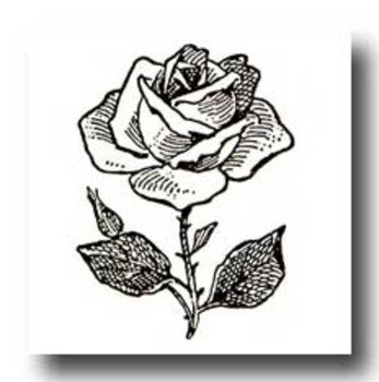 Rose Flower Clip Art N18