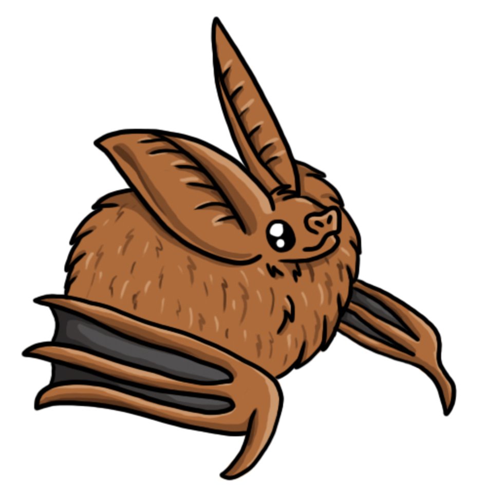 Bat Clip Art N10