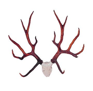 Deer Antler Logo