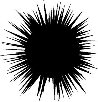 Sea Urchin Clip Art N4