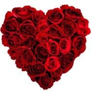 nice Valentines Day Heart Rose drawing