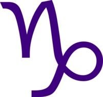 Capricorn Sign