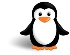 Penguin Clip Art N39