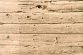 Wood Texture wall clip art